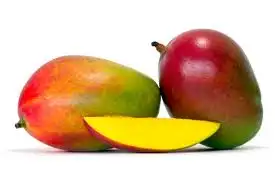images.webp