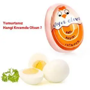 images.webp