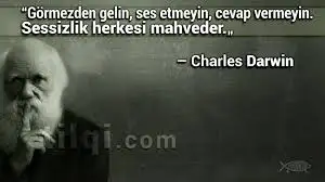 images.webp
