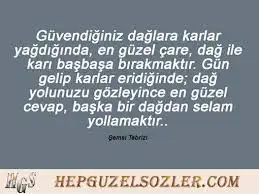 images.webp