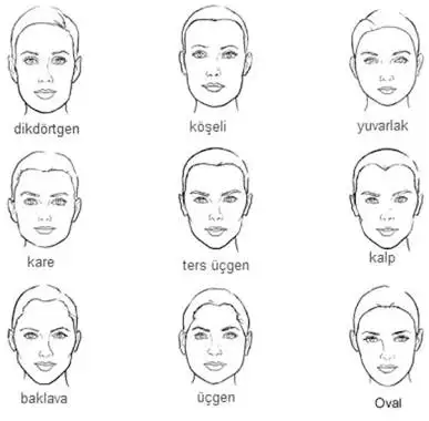 images.webp