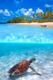 images.webp