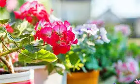 images.webp