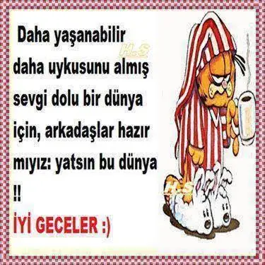 images.webp