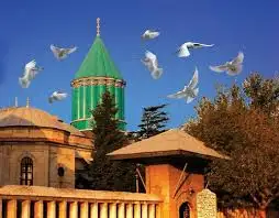 images0205ZH1H.webp