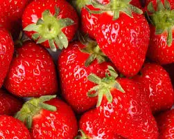 images1KJNMF46.webp