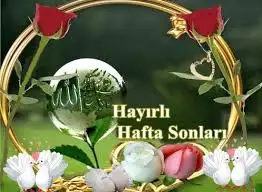 imagesCA02SKJF.webp