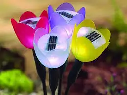 imagesCCYQ3KRV.webp