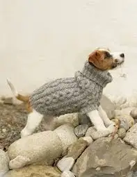 imagesDQNITHJY.webp