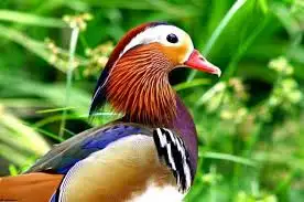 imagesLZ7W2AC0.webp