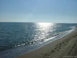 imagesRLRUOEK4.webp