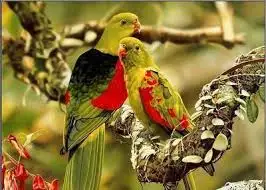 imagesTU30IIX6.webp