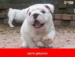 imagesZE7V0DJB.webp