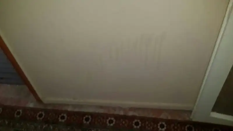 IMG-20140813-WA0000.webp
