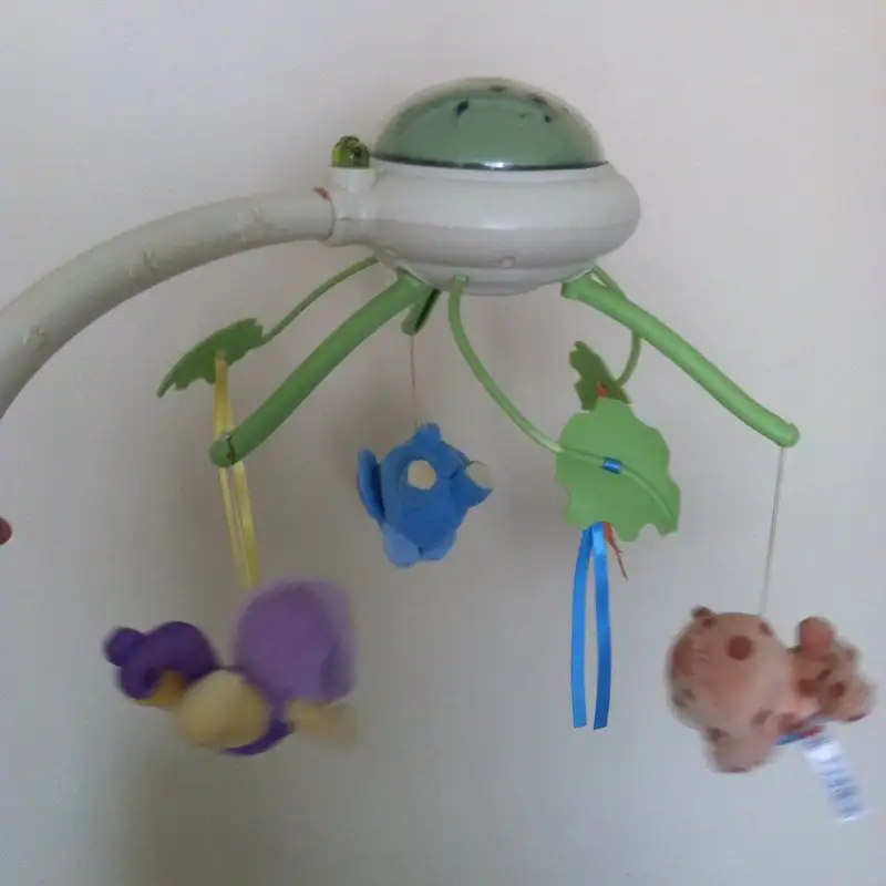 IMG-20140829-WA0005.webp