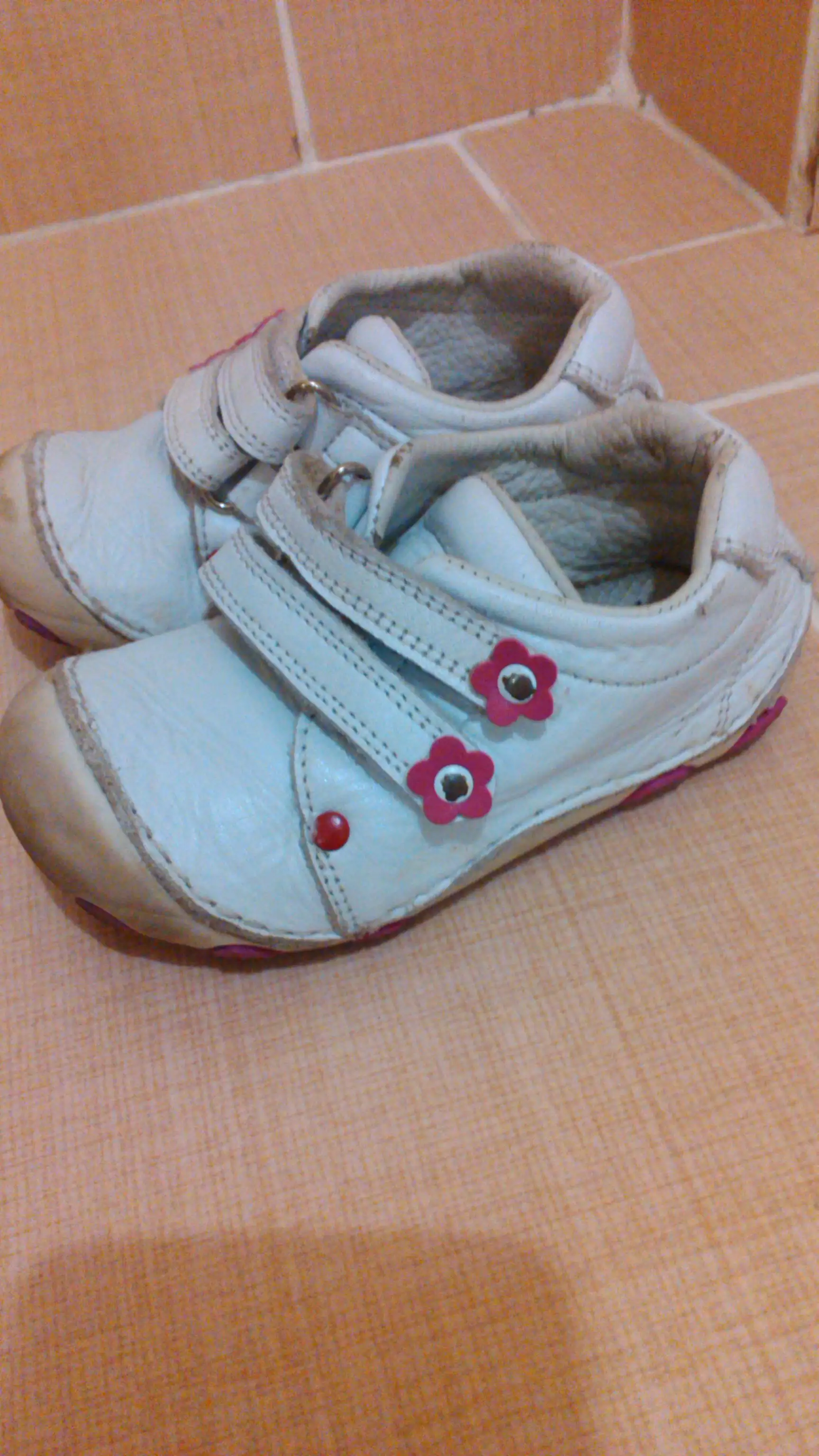 IMG-20141115-WA0047.webp