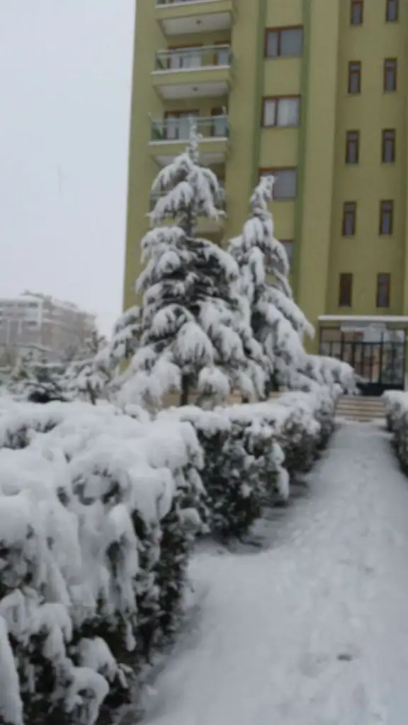 IMG-20150106-WA0002.webp