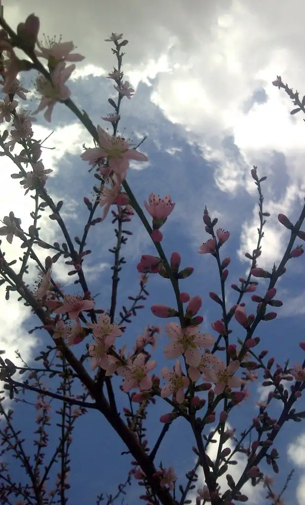 IMG-20150402-00448.webp