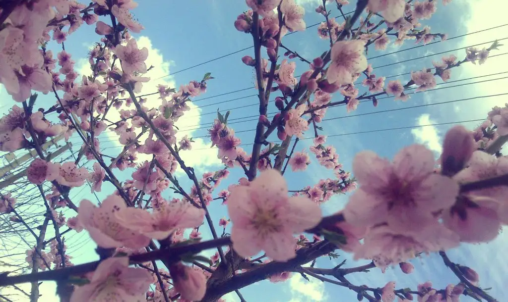 IMG-20150402-00457.webp