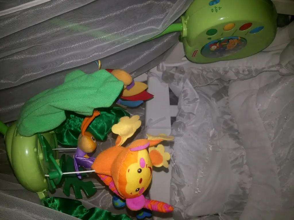 IMG-20150518-WA0006.webp