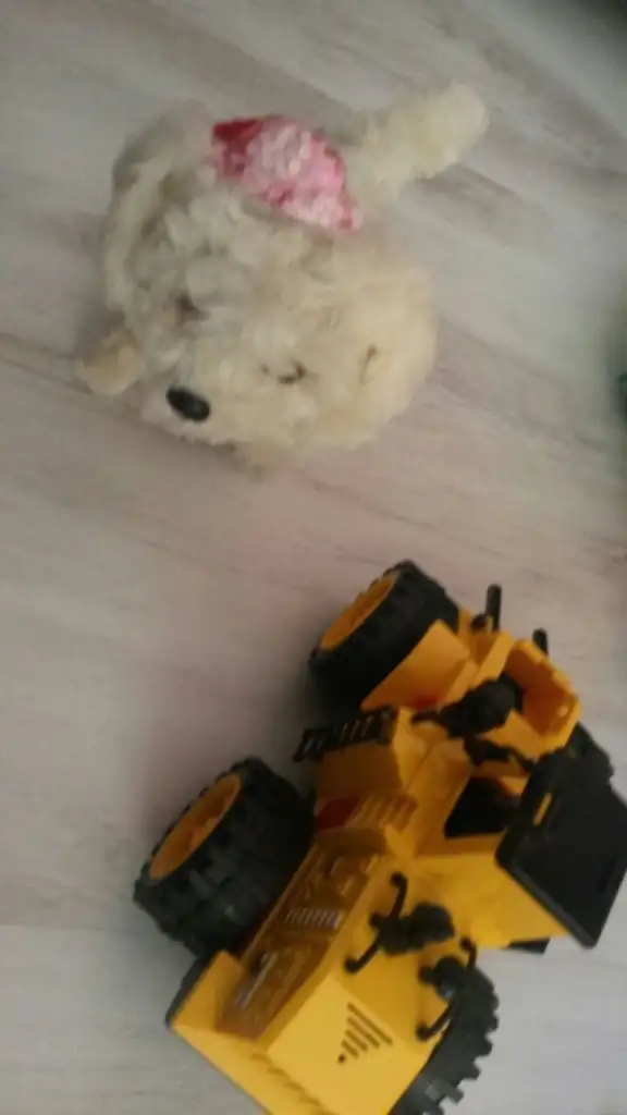 IMG-20150731-WA0025.webp