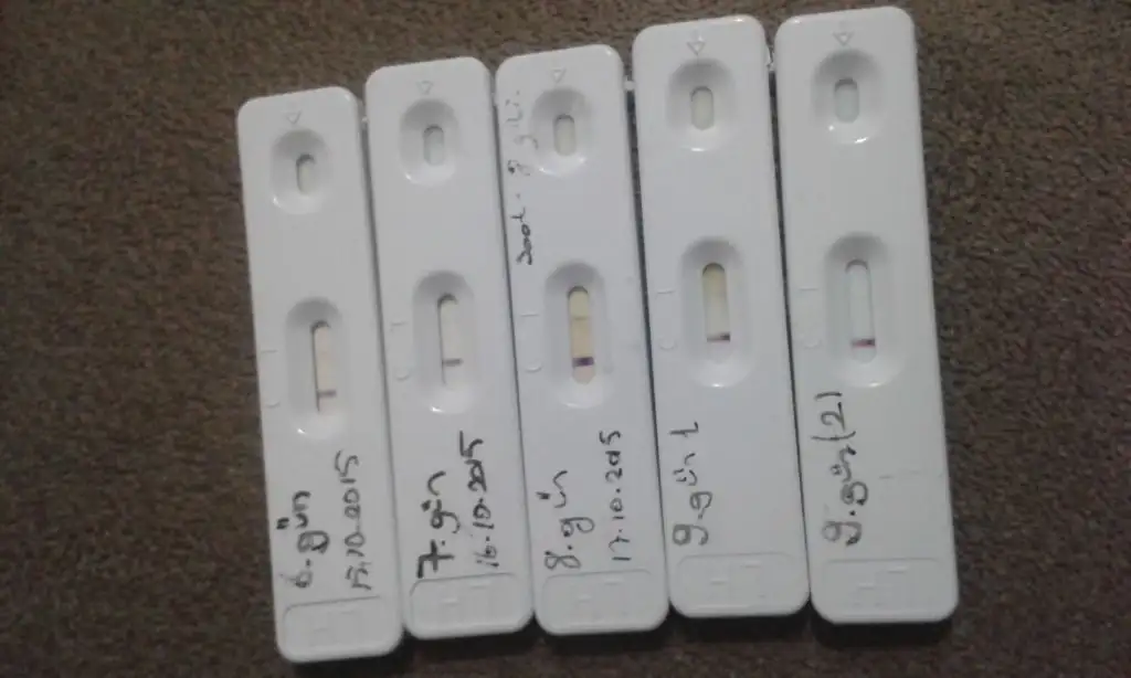 IMG-20151018-WA0039.webp