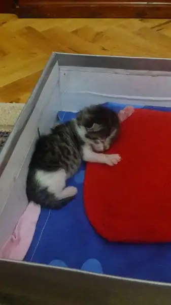 IMG-20160724-WA0021.webp