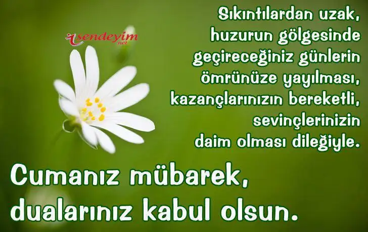 IMG-20160930-WA0002.webp