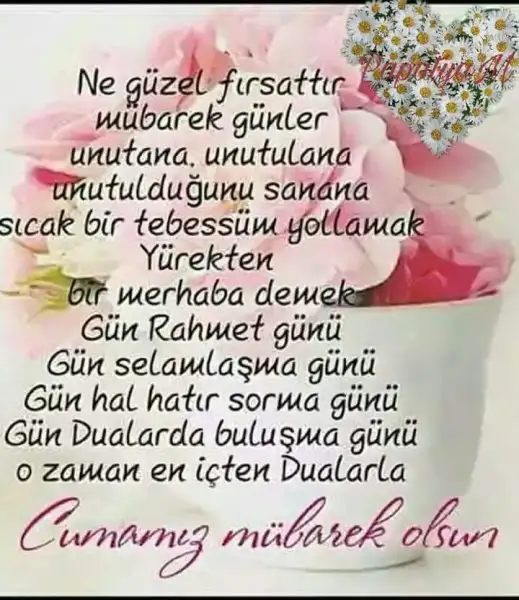 IMG-20171117-WA0007.webp