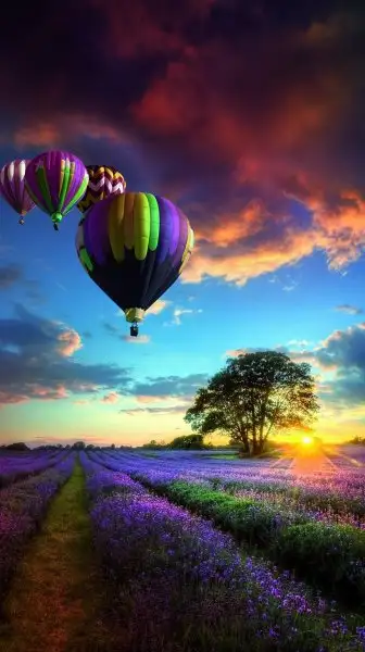 IMG-20171127-WA0001.webp