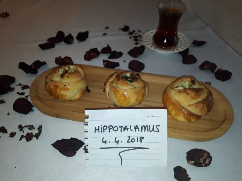 IMG-20180404-WA0061.webp