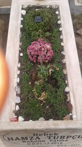 IMG-20181021-WA0003.webp