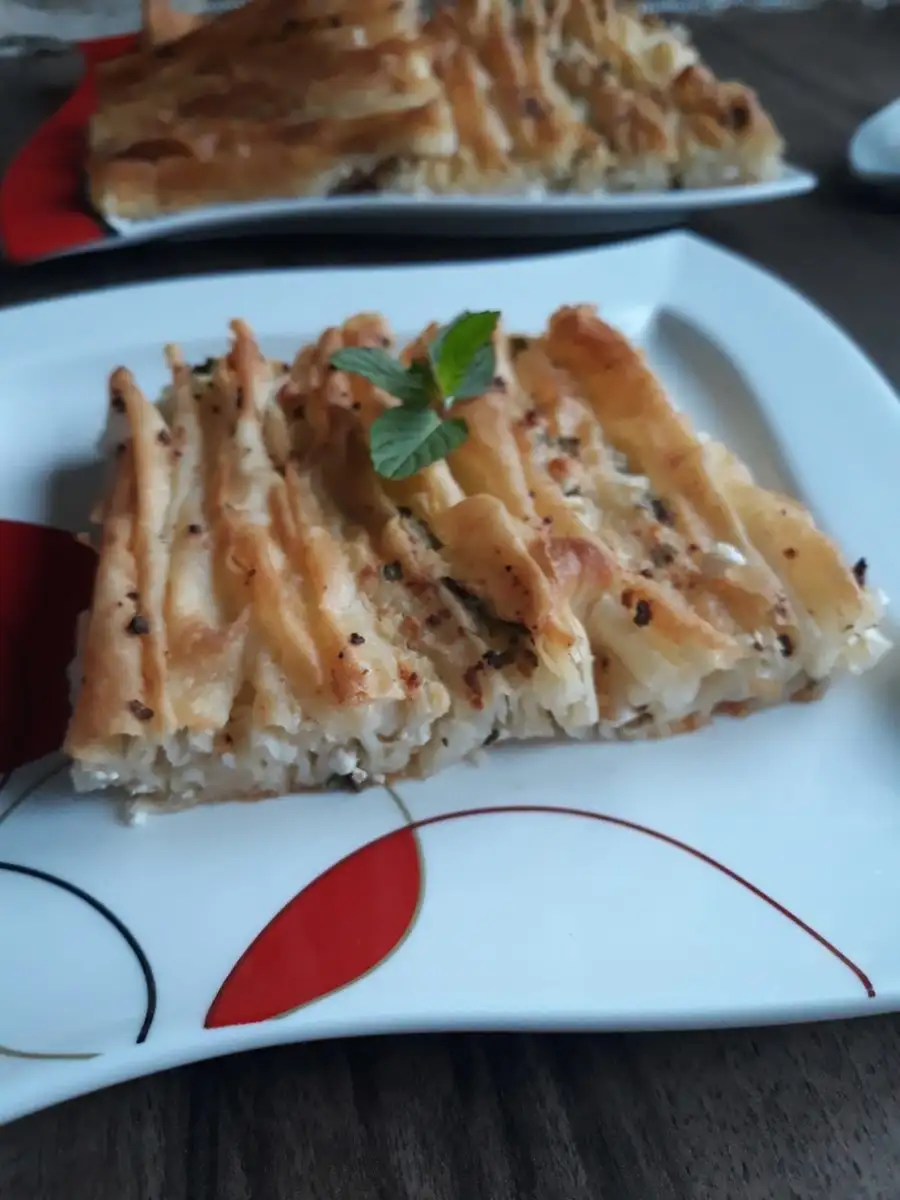 IMG-20190121-WA0006.webp