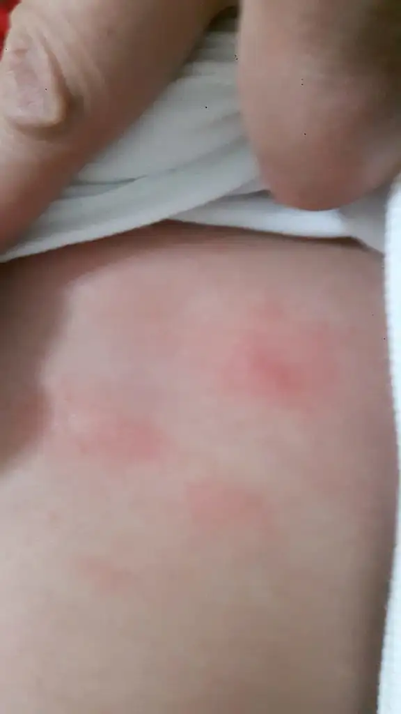 IMG-20190315-WA0003.webp