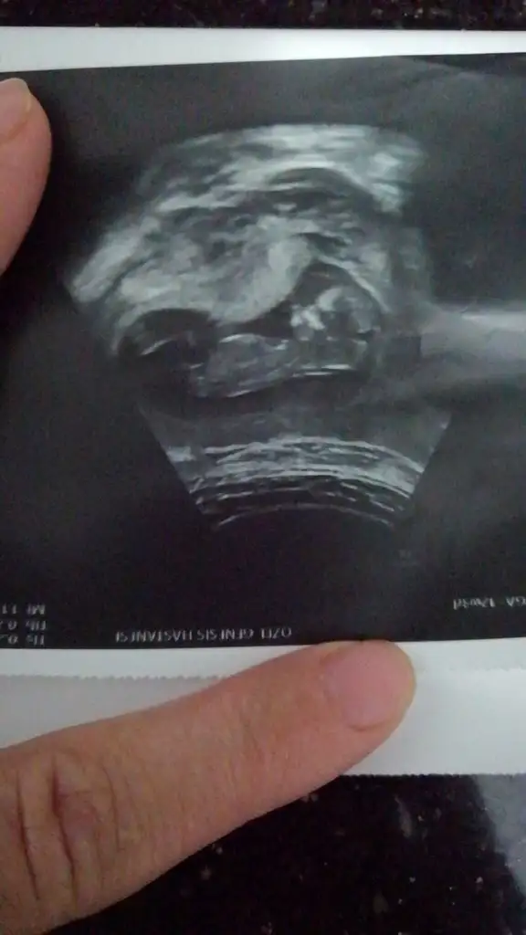 IMG-20190530-WA0006.webp