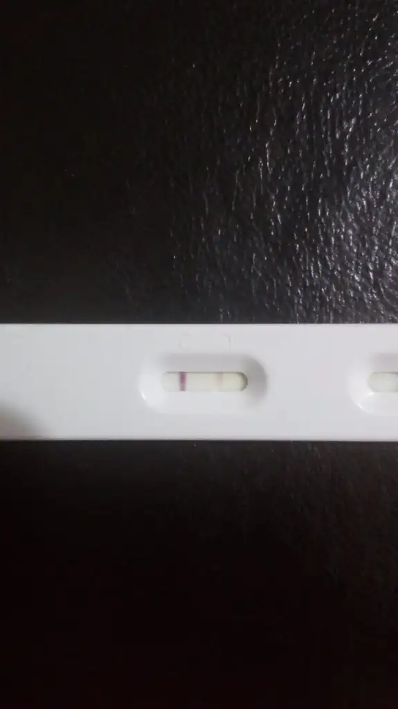 IMG-20190809-WA0040.webp