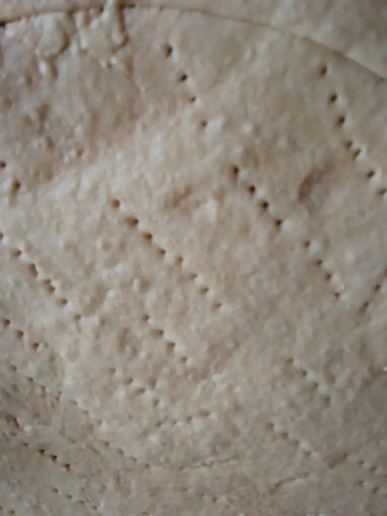IMG-20190813-WA0018.webp