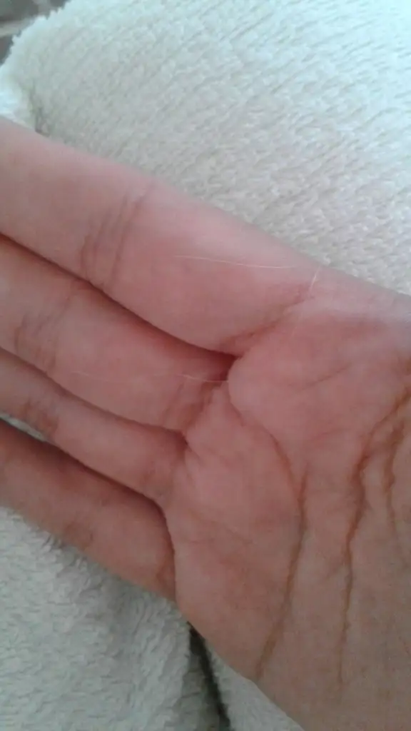 IMG-20190902-WA0021.webp