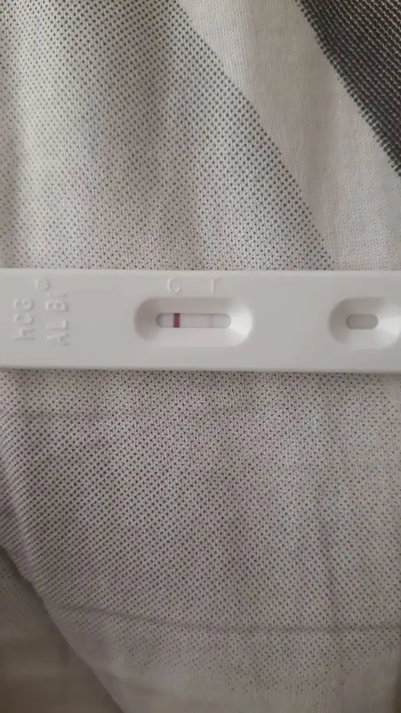 IMG-20190920-WA0009.webp