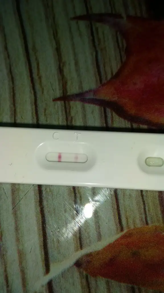 IMG-20190924-WA0003.webp