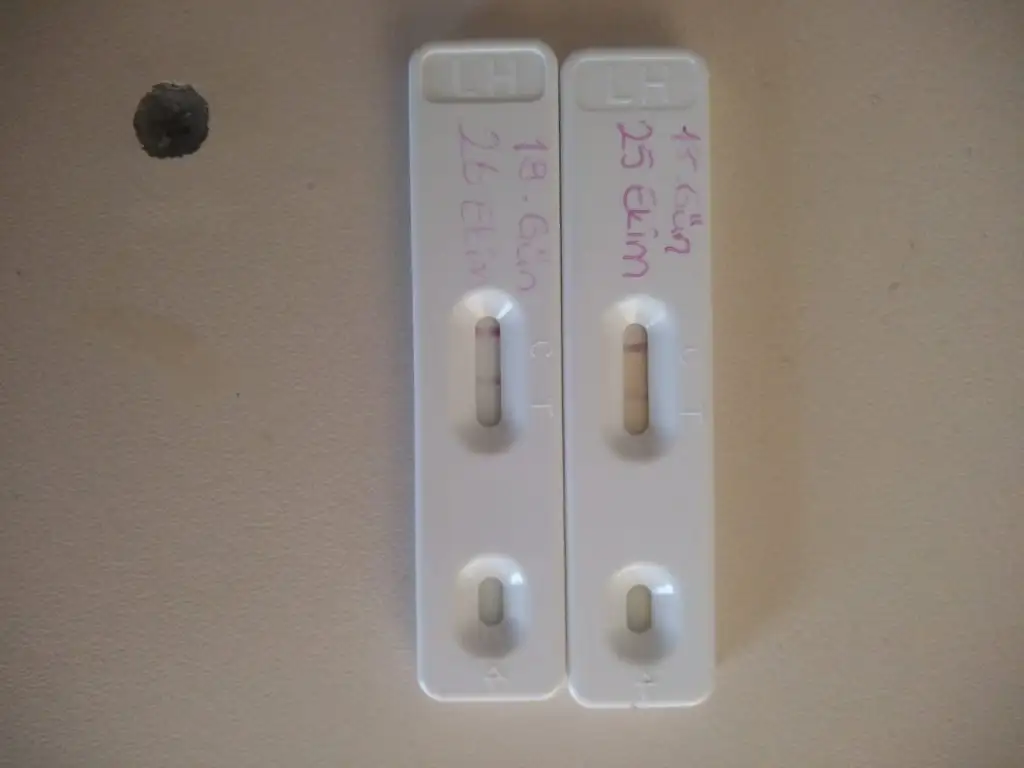 IMG-20191026-WA0000.webp