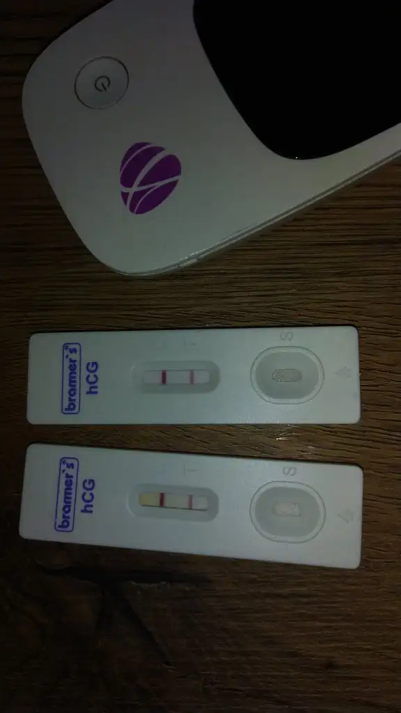 IMG-20191121-WA0009.webp