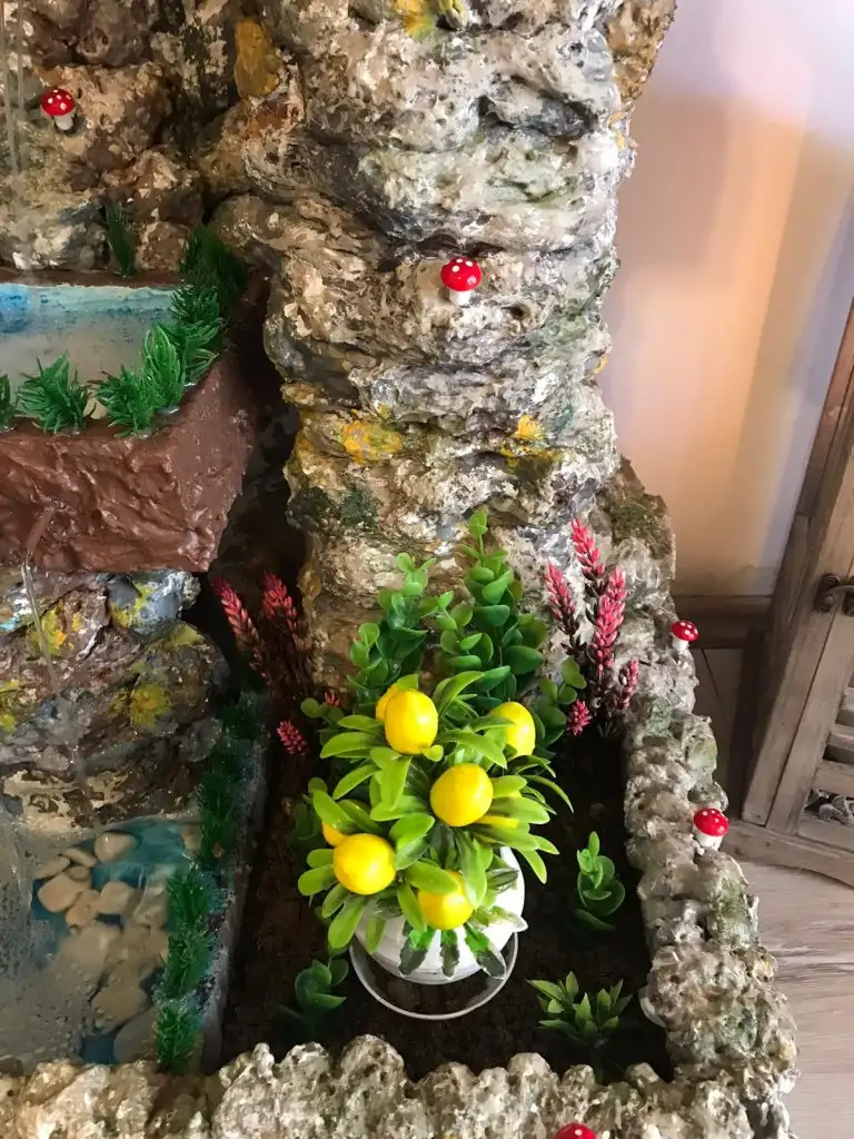 IMG-20191216-WA0008.webp