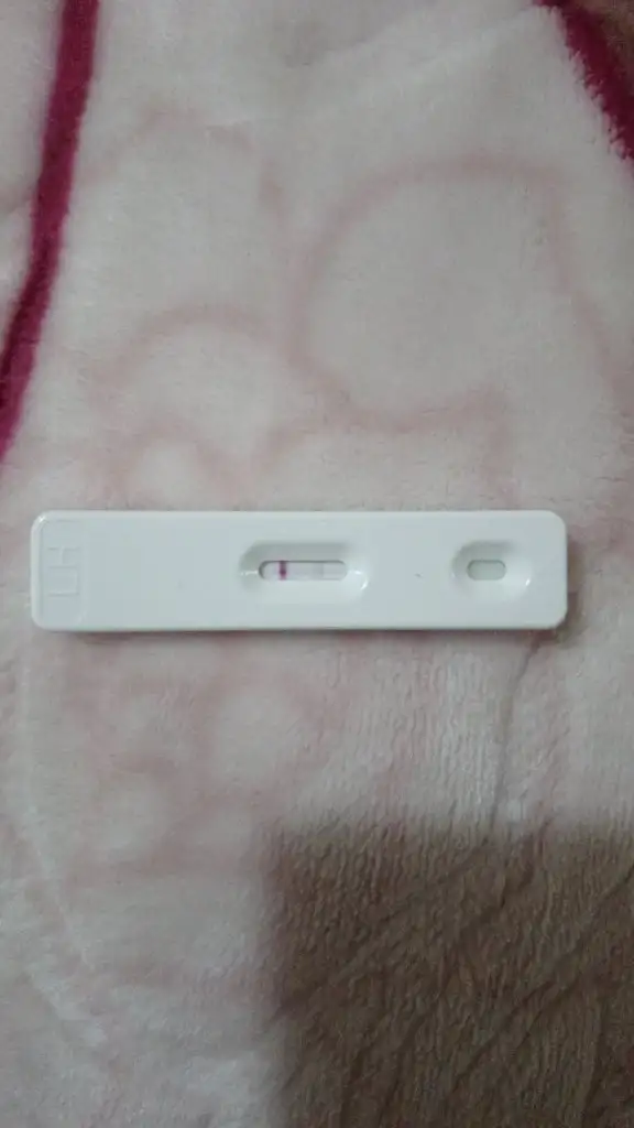 IMG-20191224-WA0003.webp