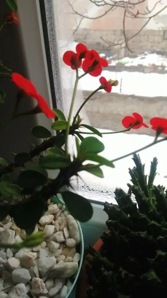 IMG-20191227-WA0013.webp