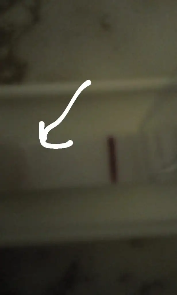 IMG-20200130-WA0019.webp