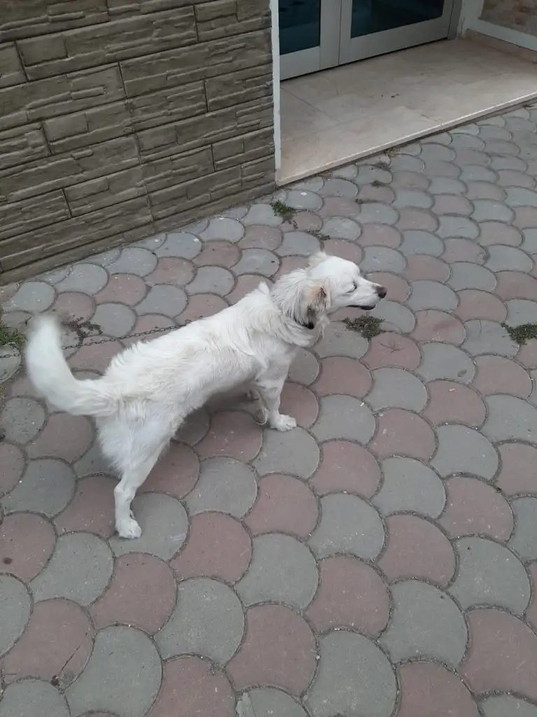 IMG-20200912-WA0000.webp