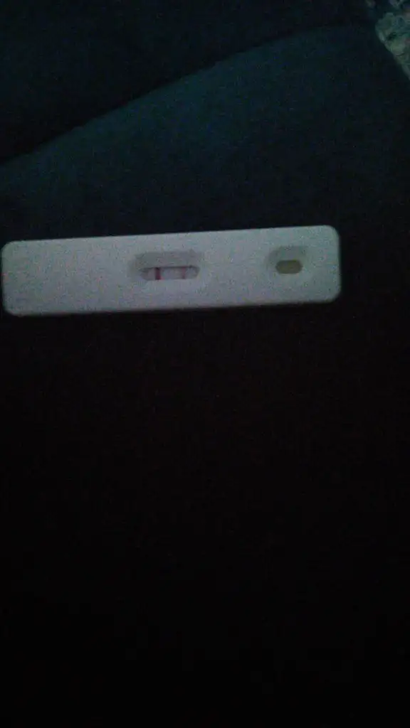 IMG-20201109-WA0002.webp