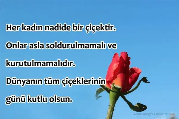 IMG-20210308-WA0012.webp