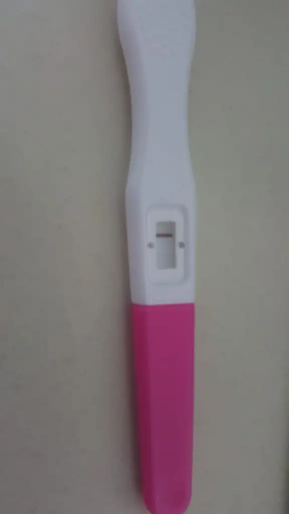 IMG-20210324-WA0018.webp
